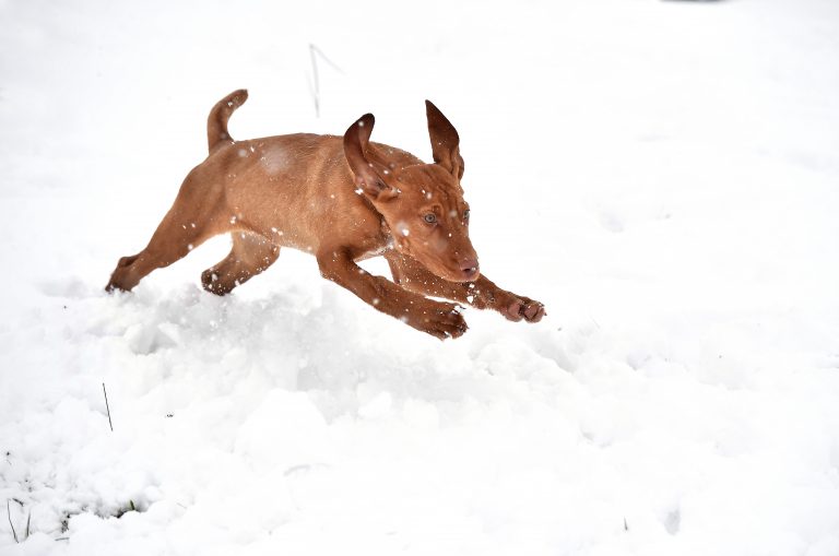 Storm Fionn Brings Chaos To The UK