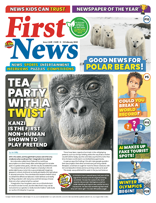 First News front cover